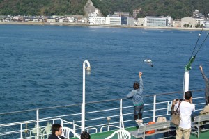 かもめ