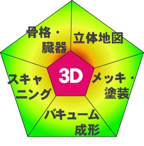 3Ⅾを中核として立体地図、メッキ・塗装、バキューム成形、骨格・臓器、スキャニング