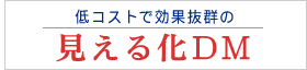 ��R�X�g�E�����U�ʁ@100�~�c�l