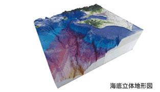 海底立体地形図